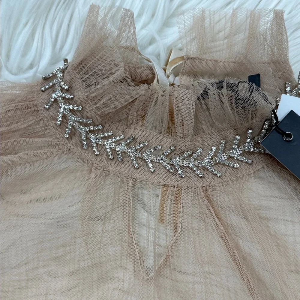 Gracia Beige Sheer Long Sleeve Top - Picture 3 of 6